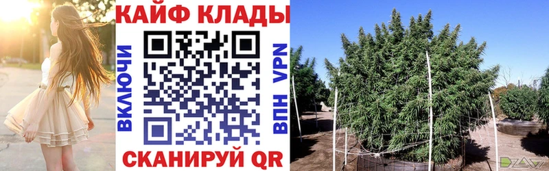 Купить закладку Марихуана  Лсд 25  Alpha-PVP  ГАШ  Меф  Макарьев