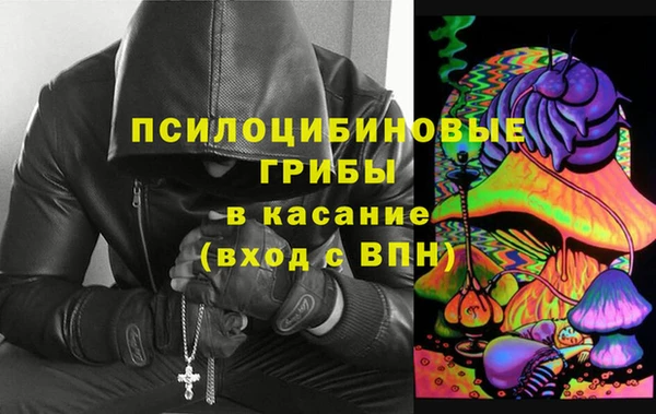 мдма Ельня