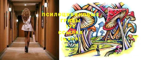 ешки Елабуга