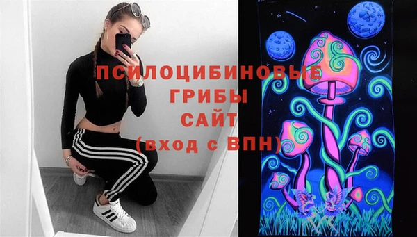 ешки Елабуга