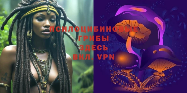 ешки Елабуга