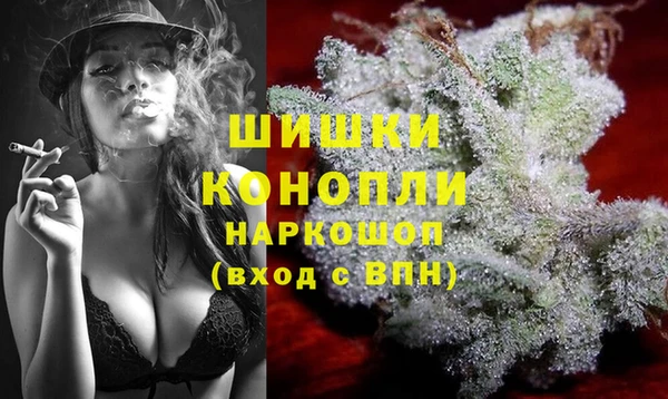 хмурый Заводоуковск
