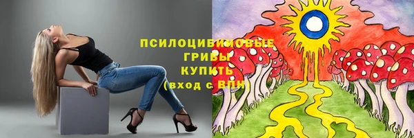 ешки Елабуга