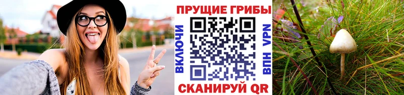 Купить закладки  Макарьев  Галлюциногенные грибы MAGIC MUSHROOMS 